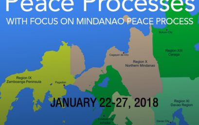 A Short Course on Peace Processes