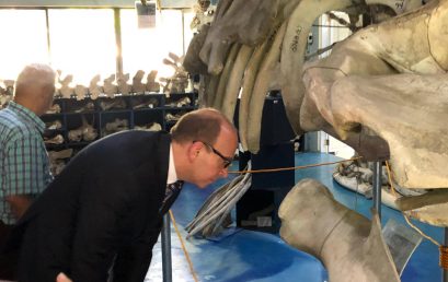 British Ambassador Tours Museum with World’s 2nd Largest Brydes’ Whale Bone Collection