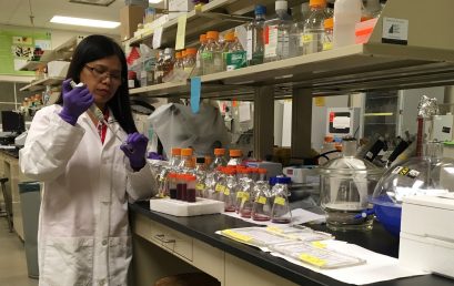 Chemistry Prof Undertakes Research in US on Early Detection of Dengue Virus