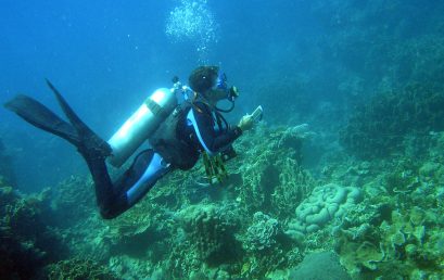 SU-IEMS offers help in marine survey of Dumaguete’s coastline