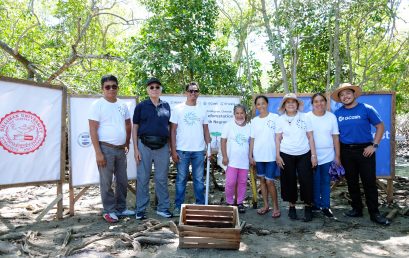 SU partners with GCash, USAID to plant 500,000  mangrove trees in South Negros