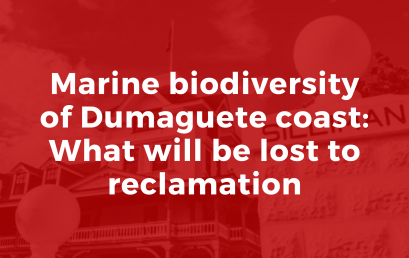 Marine biodiversity of Dumaguete coast: What will be lost to  reclamation