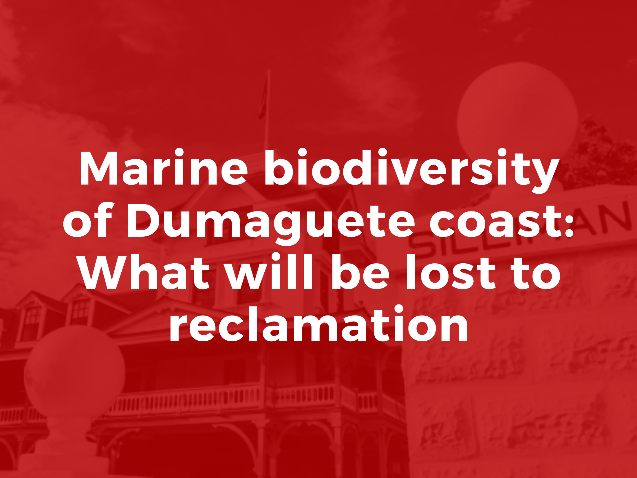 Marine biodiversity of Dumaguete coast: What will be lost to  reclamation