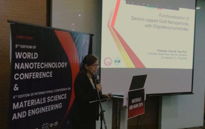 SU Chemistry Department Chair presents paper in Singapore