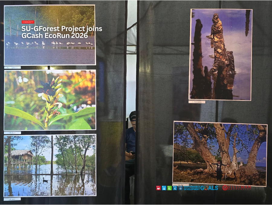 Photographs feature the “Amazing Mangroves” photo exhibition.