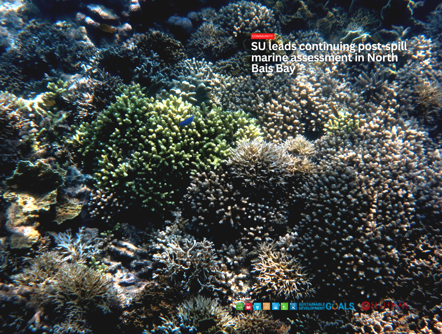Live hard corals in Capiñahan Marine Sanctuary, documented during the IEMS survey on April 13, 2026. This sanctuary is approximately 7 km away from the spill origin.