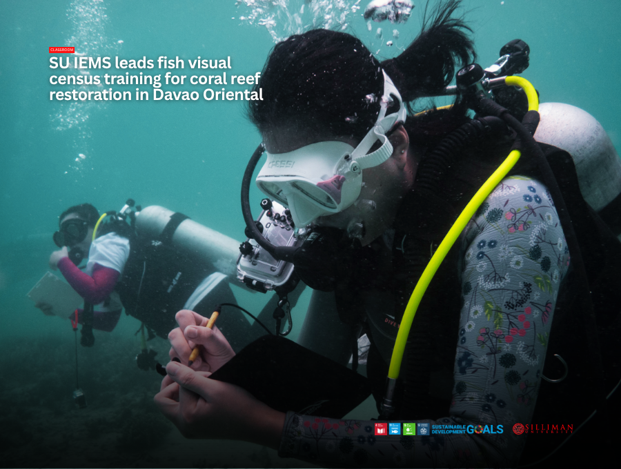 Claudine Delute, DENR Region XI representative and workshop participant, is seen participating during the practicum in Pujada Bay, Davao Oriental, where the 3D-printed artificial clay reefs are deployed.